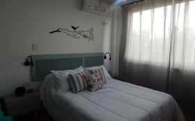 Apio Studio Centro